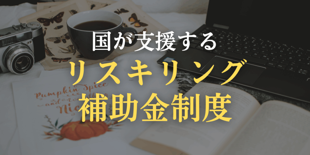 国が支援するリスキリング補助金制度のイメージ